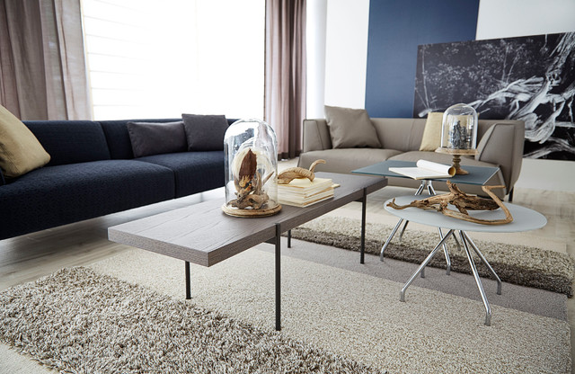 【arflex】アルフレックス LINEA リネア センターテーブル LINEA リネア センターテーブル - モダン - リビング - 東京23区