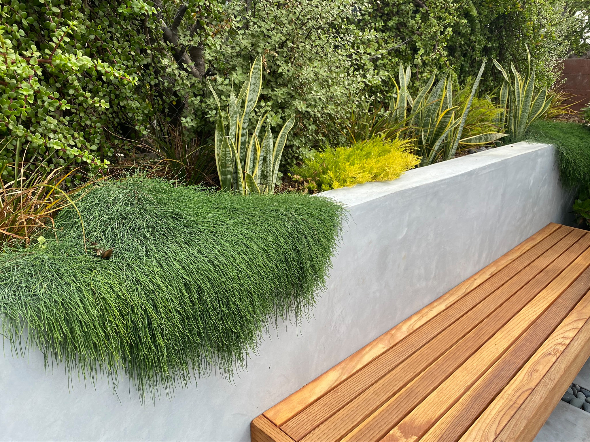 Low-Maintenance Modern Landscape Retaining Walls