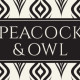 Peacock & Owl