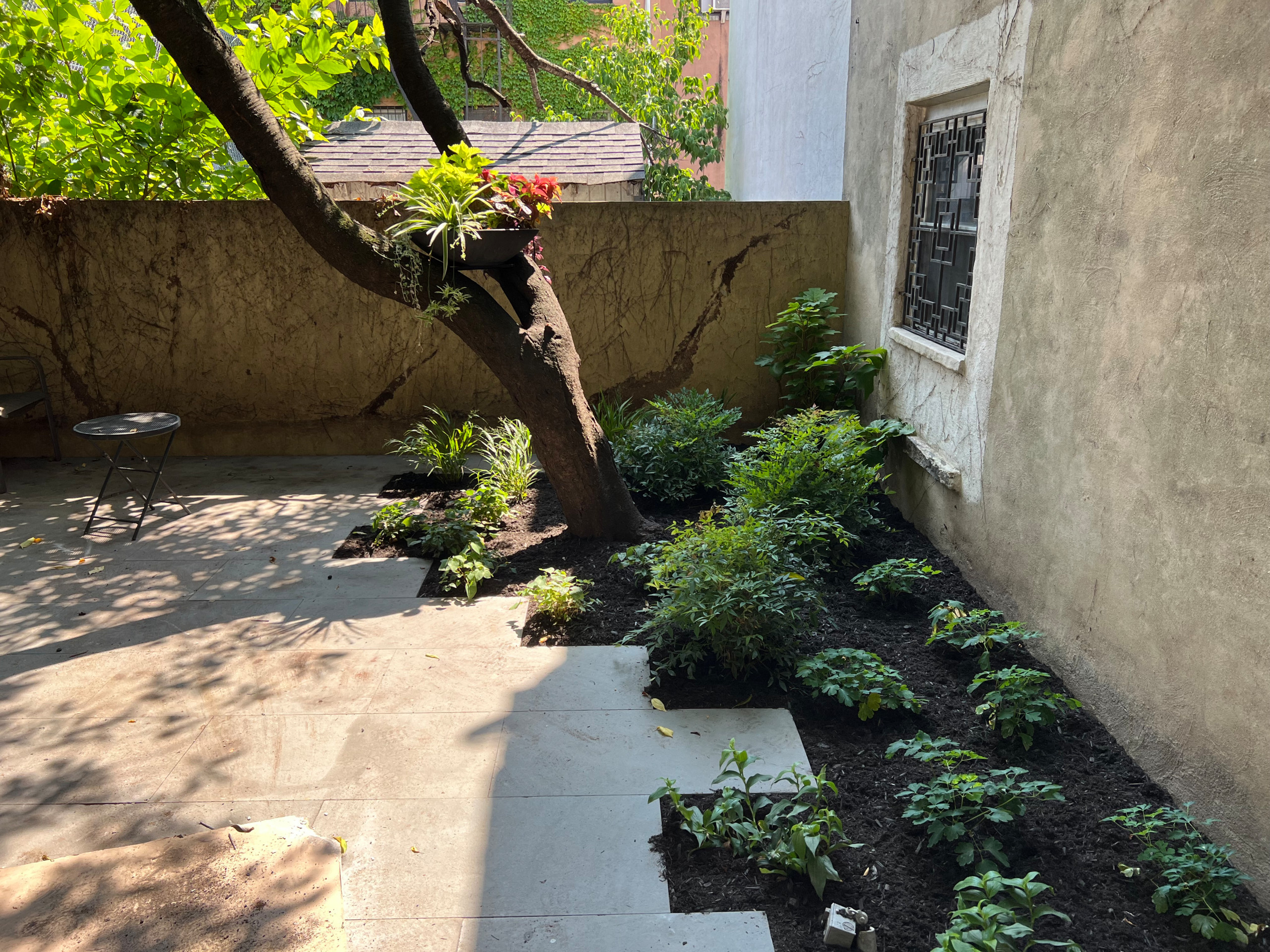 Modern Urban Shade Garden