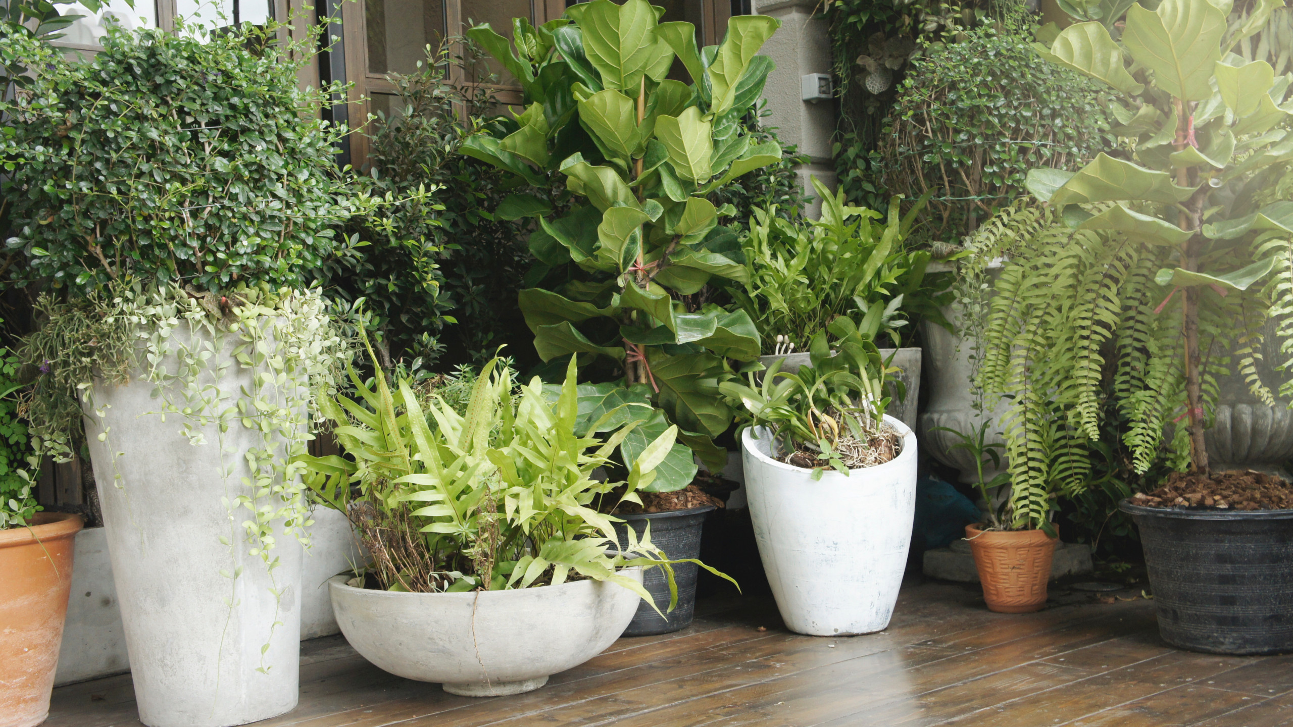 Chic Boho Balcony with Natural Textures in Caterham