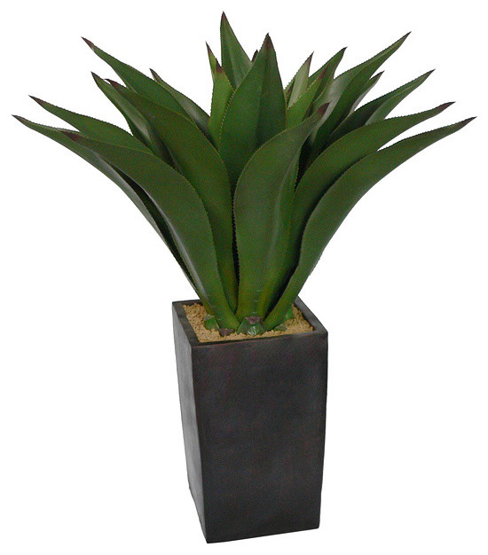 Laura Ashley 48-inch Artificial Aloe Plant