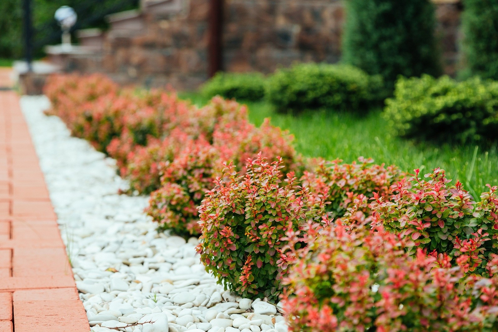 Участок в Сестрорецке