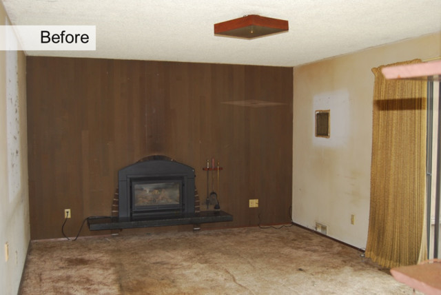 Gas Fireplace Inserts trendy