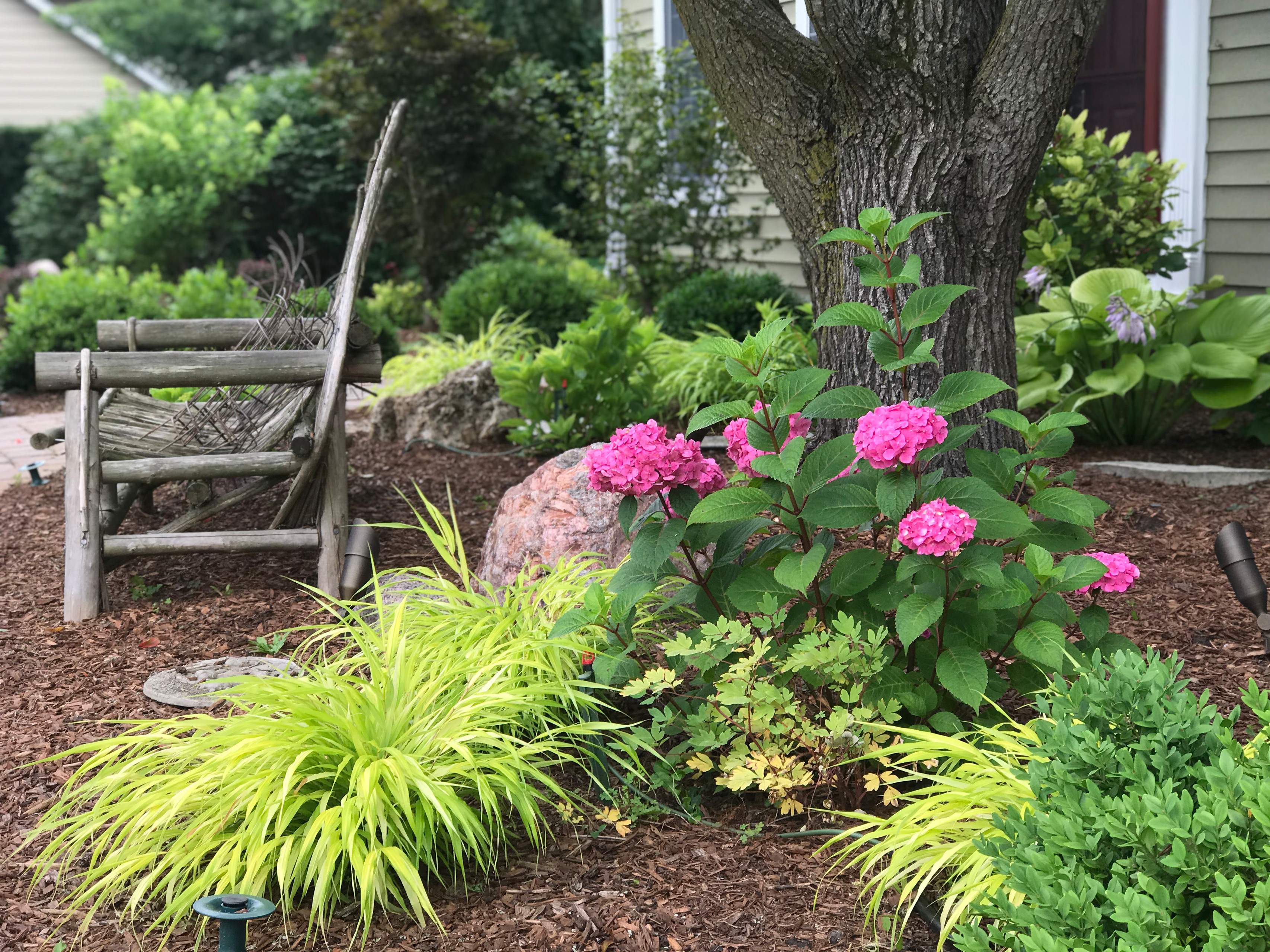 Before and After - curb appeal, boxwoods