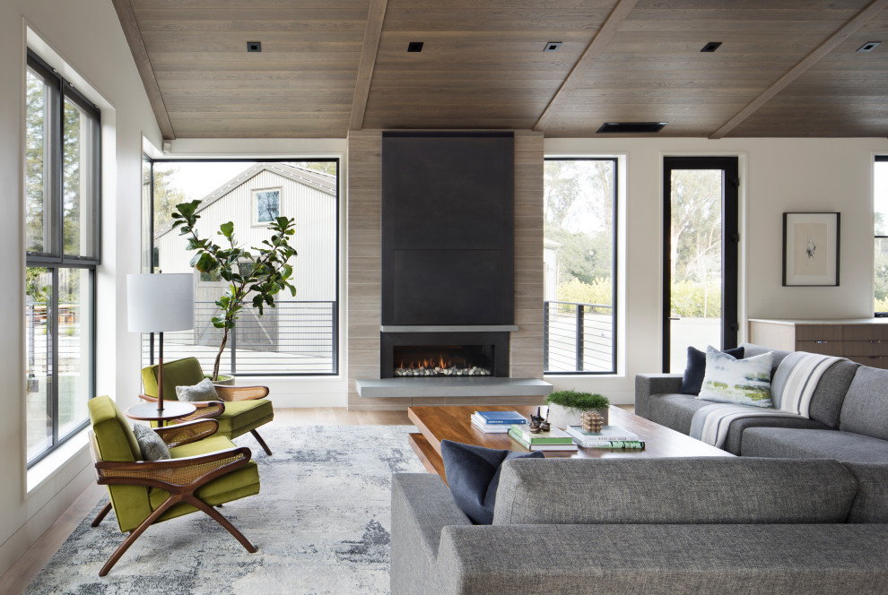 Design ideas for a modern living room in San Francisco.