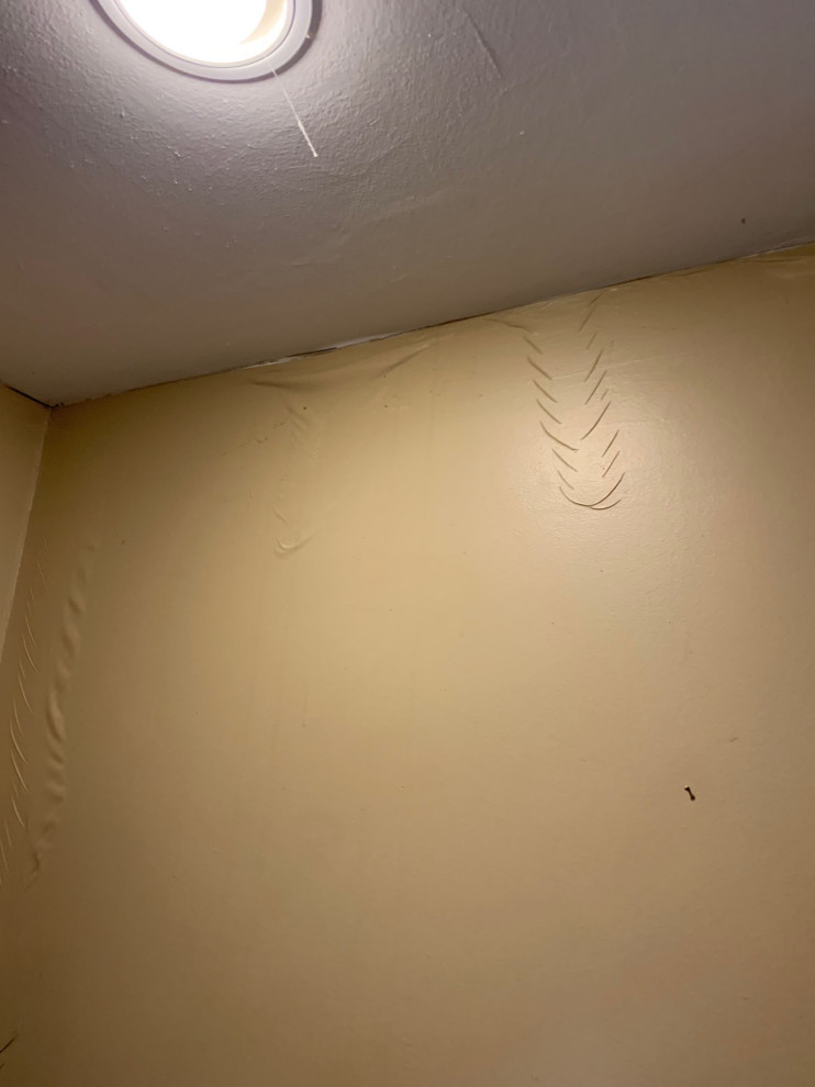 Water mitigation boston