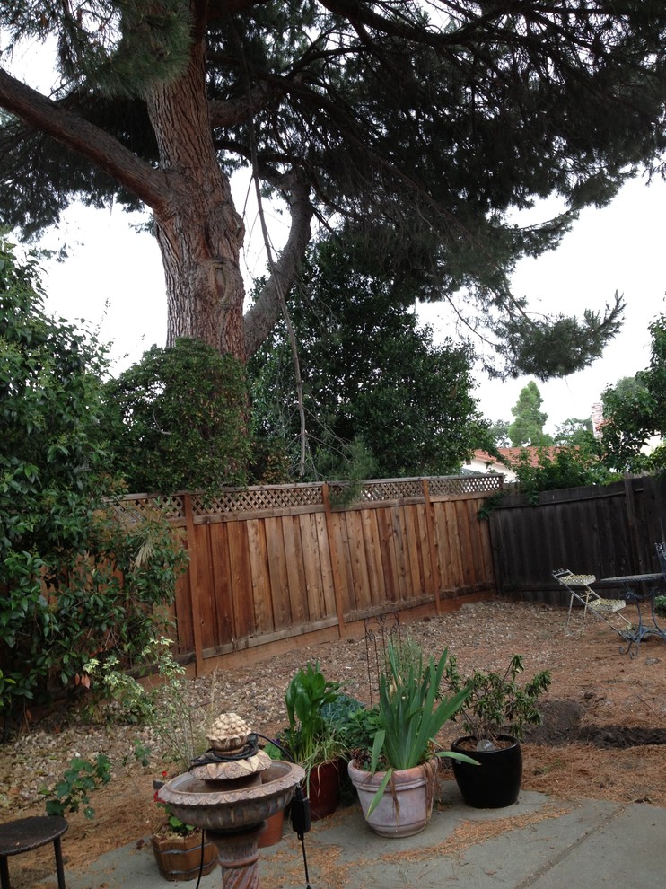Yard vacuum shop for pine needles