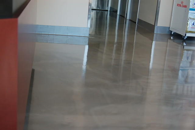 Newport Beach California Animal Hospital Metallic Epoxy Floor