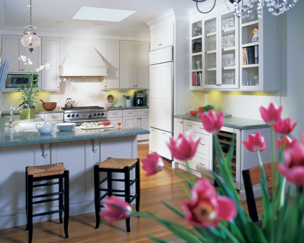 Transitional kitchen photo in Los Angeles