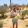 pary_shahsmandi