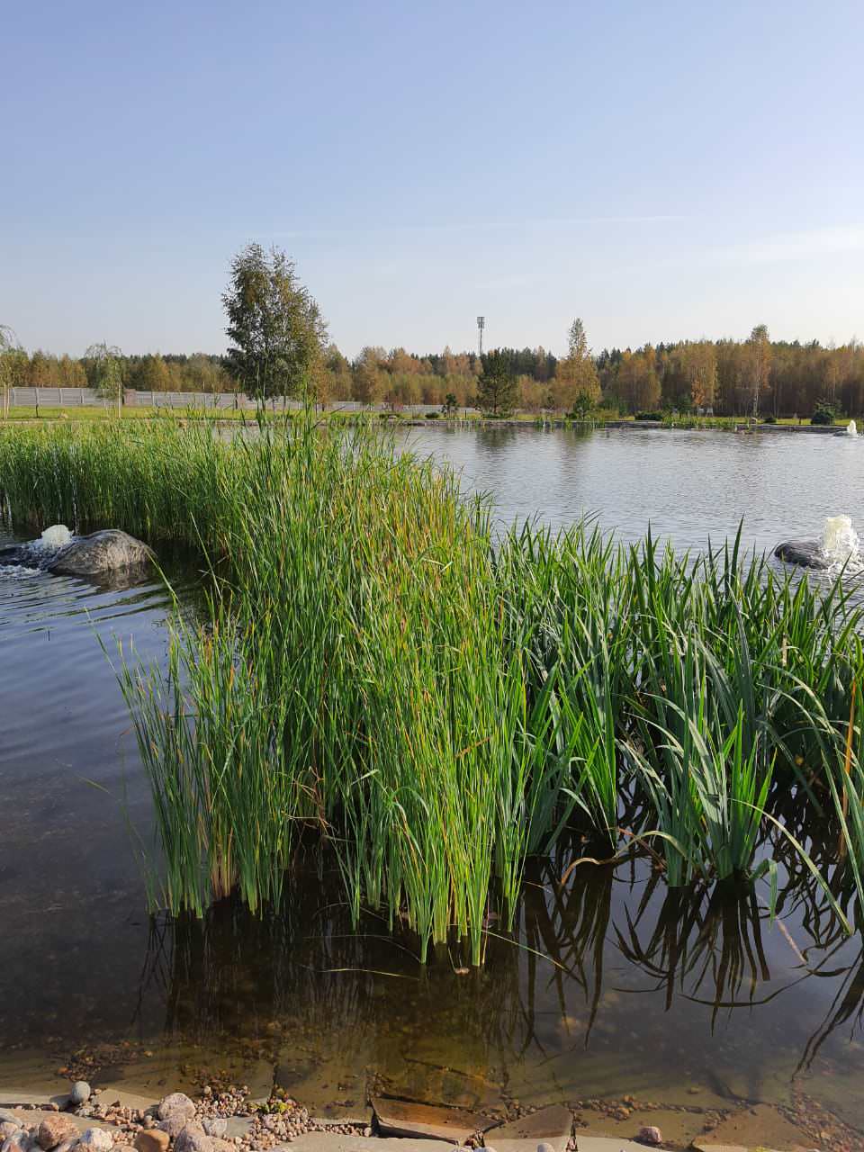 Декоративный водоём в п. Репино (Лен. обл.)