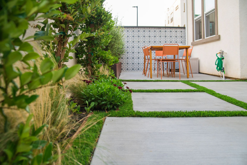 Kleiner Moderner Garten im Frühling, hinter dem Haus mit Hochbeet, direkter Sonneneinstrahlung, Betonboden und Steinzaun in Los Angeles