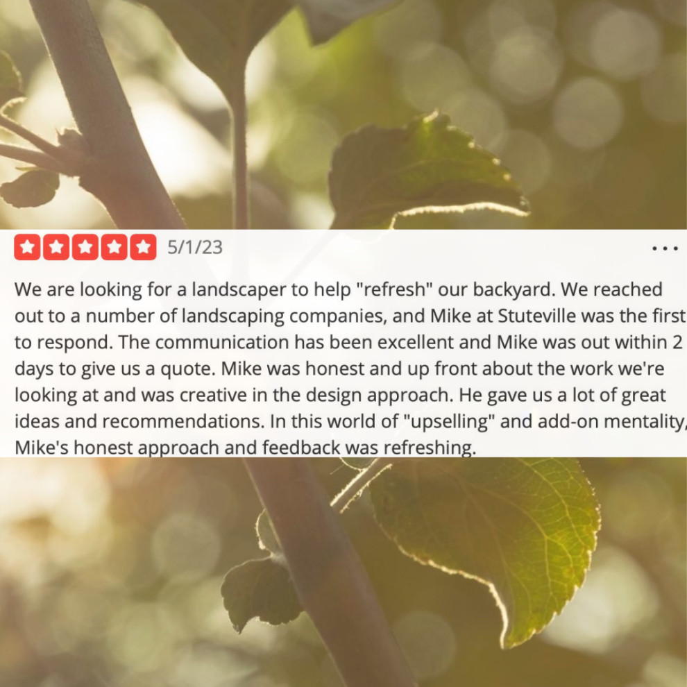 Reviews