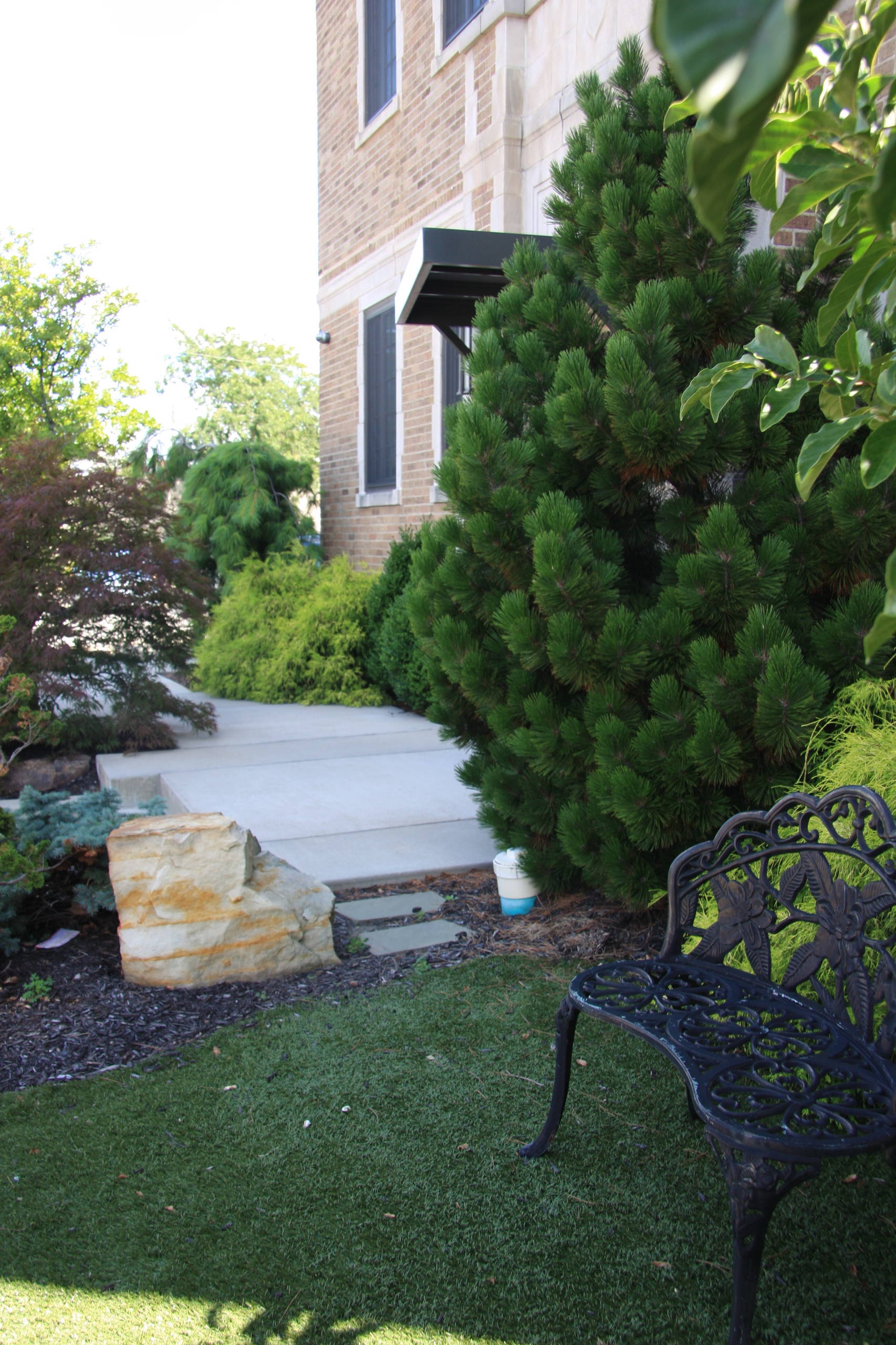 Wittern Roof top Garden