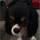 shelly_chang76