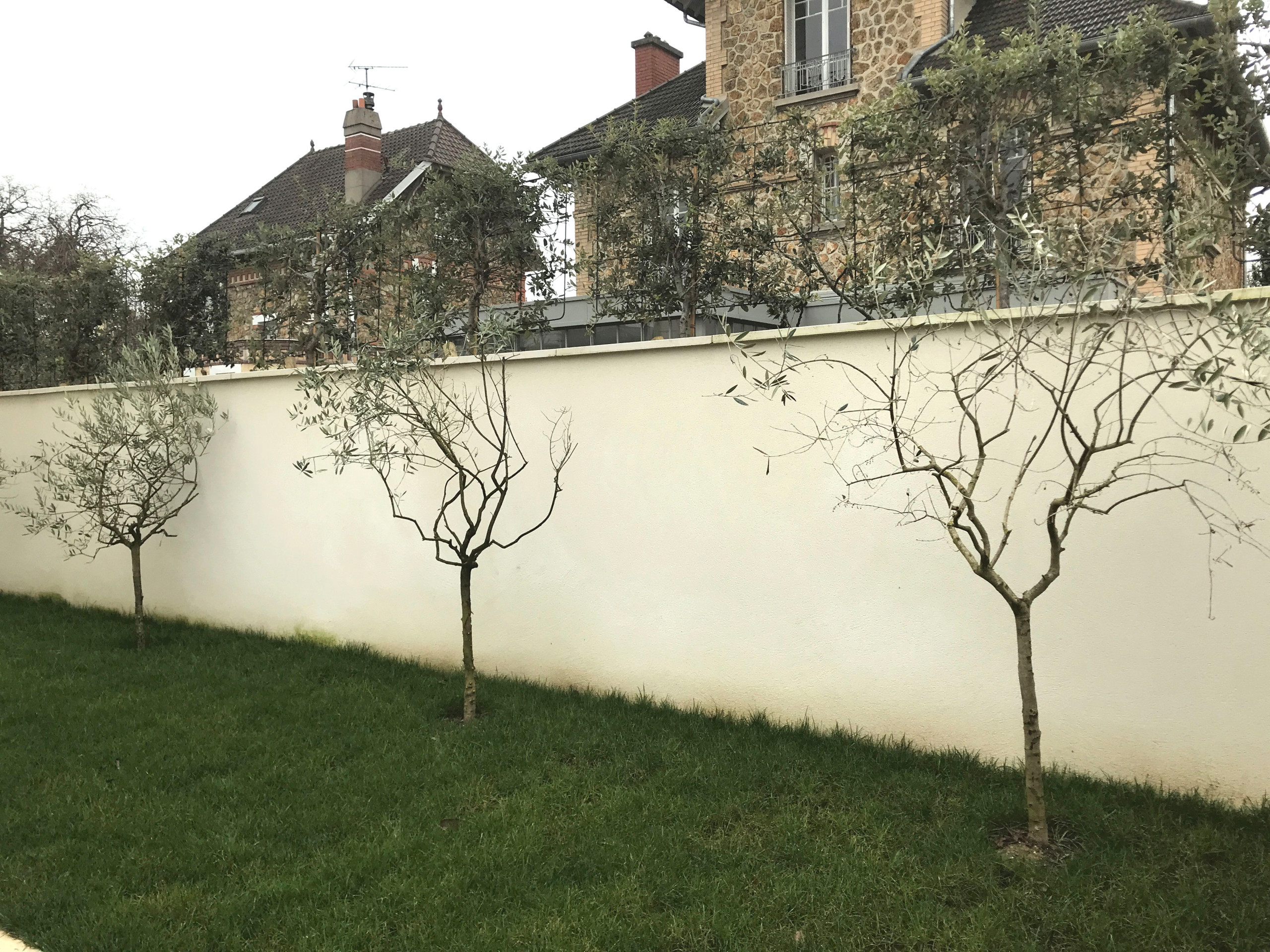 Aménagement du jardin avec des palissades en bois et des arbres palissés.