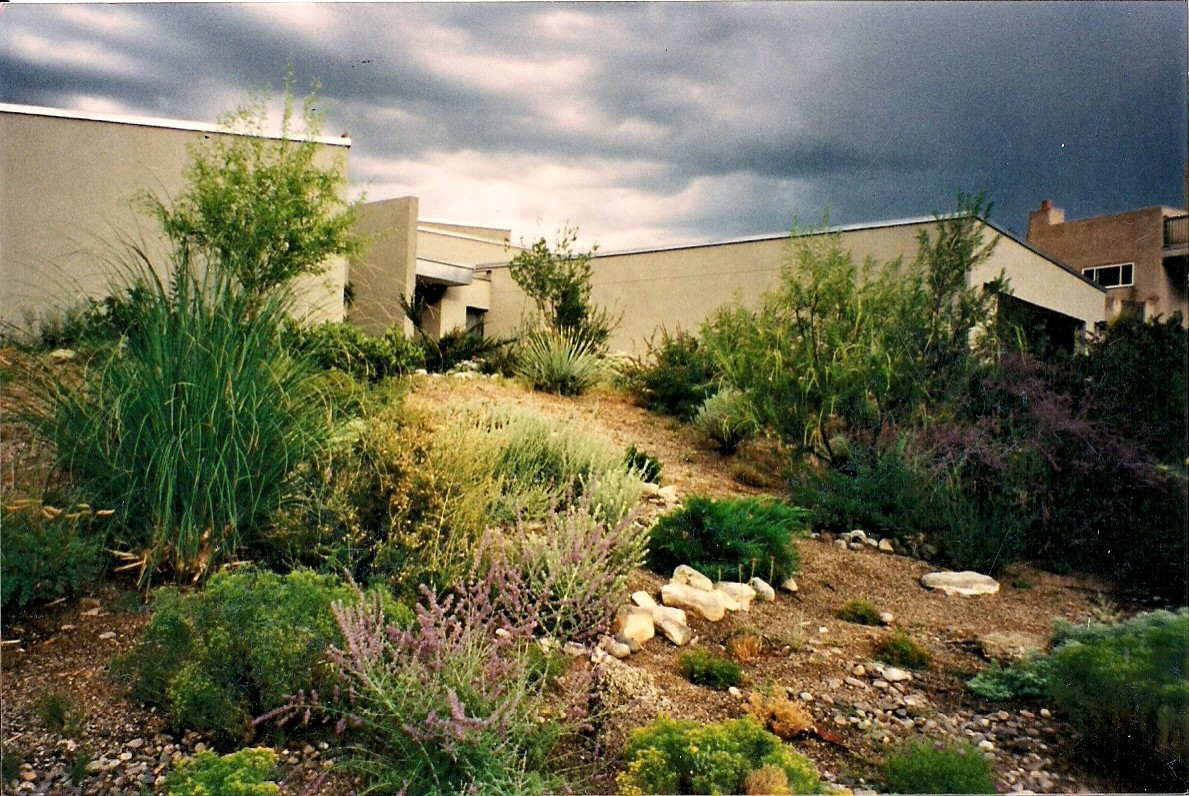 Albuquerque residence 6