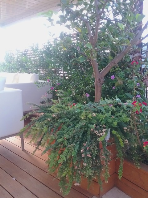 Terrazza Vista Mare contemporary-deck