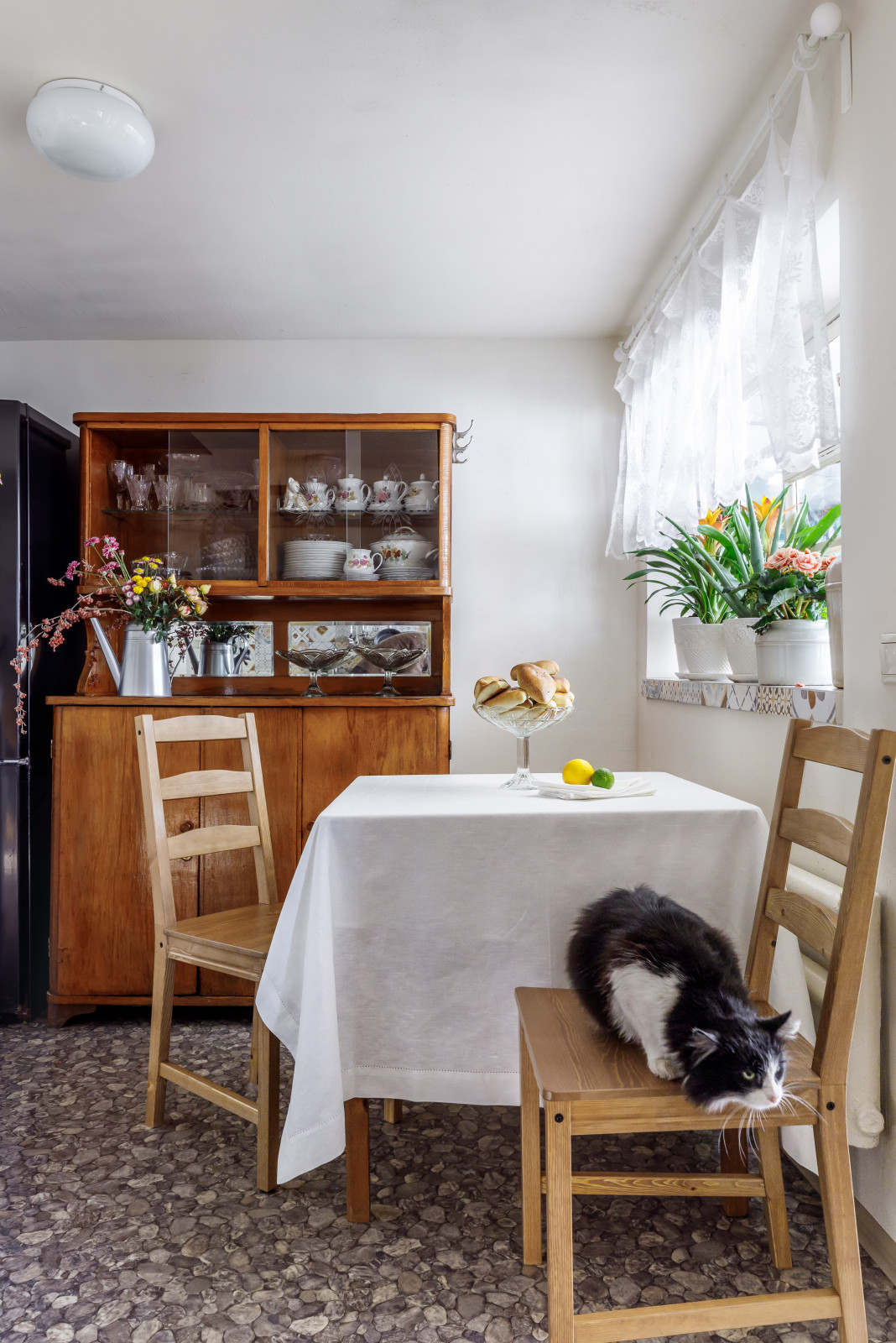 Социальный проект