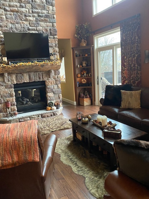 Rustic Family Room Designs