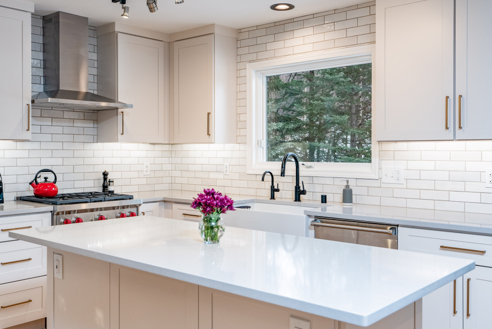 Kitchen - transitional kitchen idea