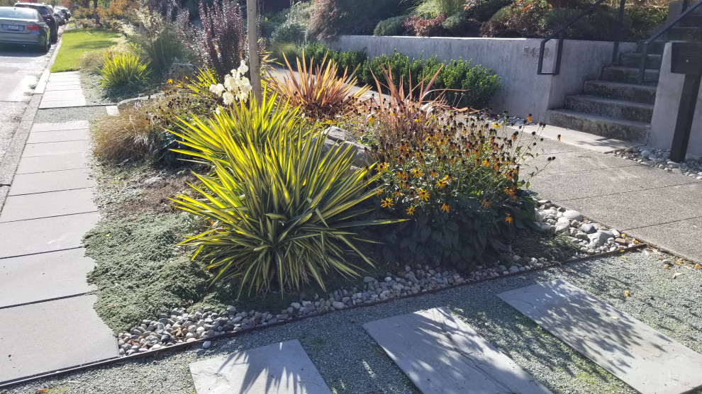 Moderner Vorgarten im Herbst mit Steindeko, direkter Sonneneinstrahlung und Betonboden in Seattle