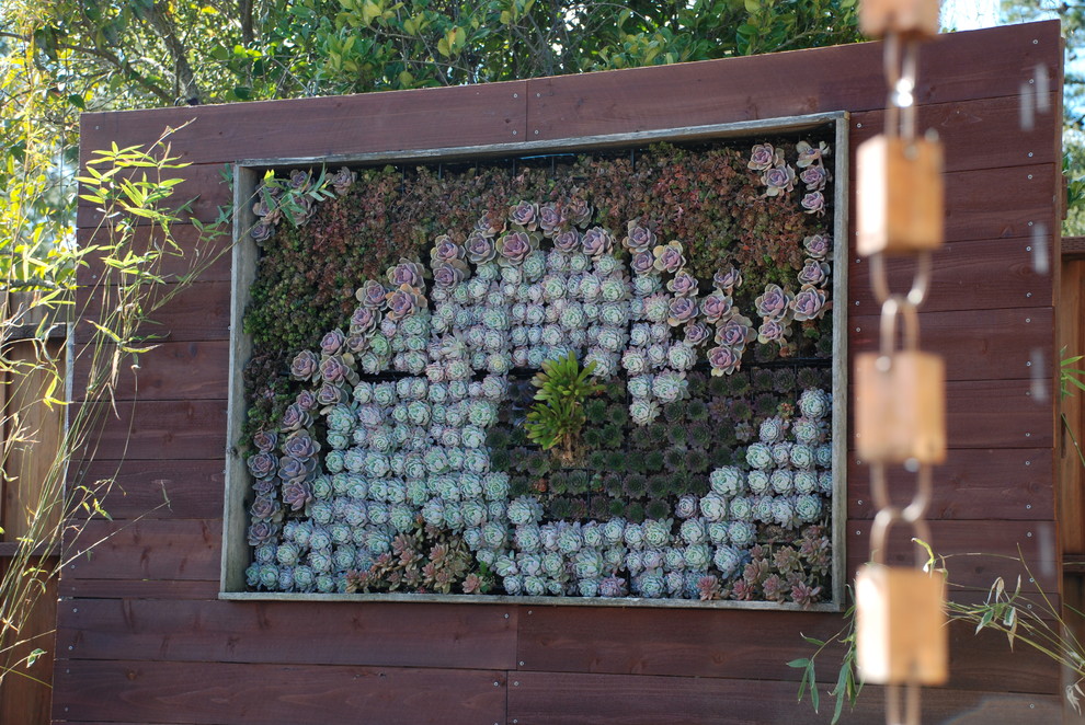 Inspiration for a contemporary garden in San Francisco with a vertical garden.