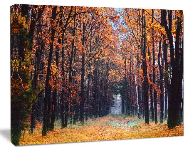 Alley in the Dense Autumn Forest, Forest Canvas Art Print, 40"x30