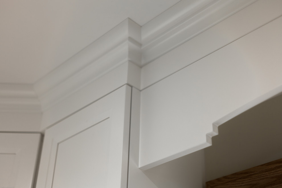 Home design - transitional home design idea in Toronto