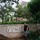 steve_wilson3