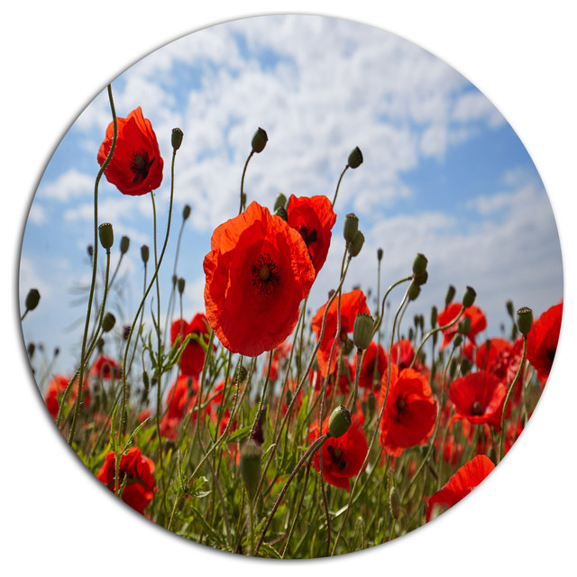 Bright Red Poppy Flowers Photo, Flower Disc Metal Wall Art - Farmhouse
