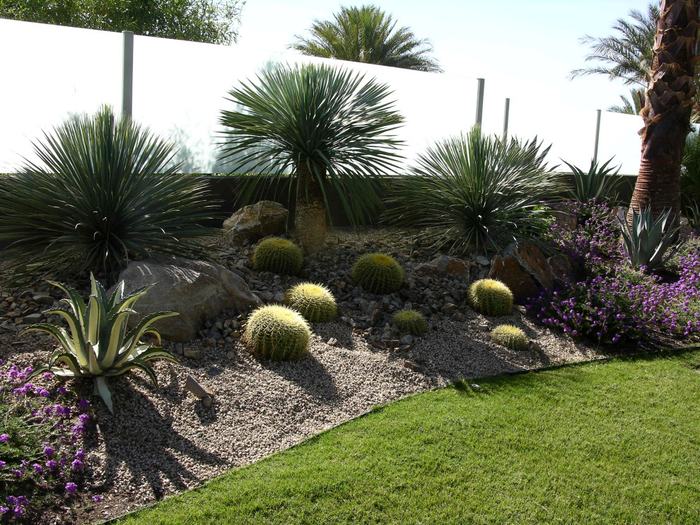 Ejemplo de jardín de secano contemporáneo grande en patio con paisajismo estilo desértico, exposición total al sol y entablado