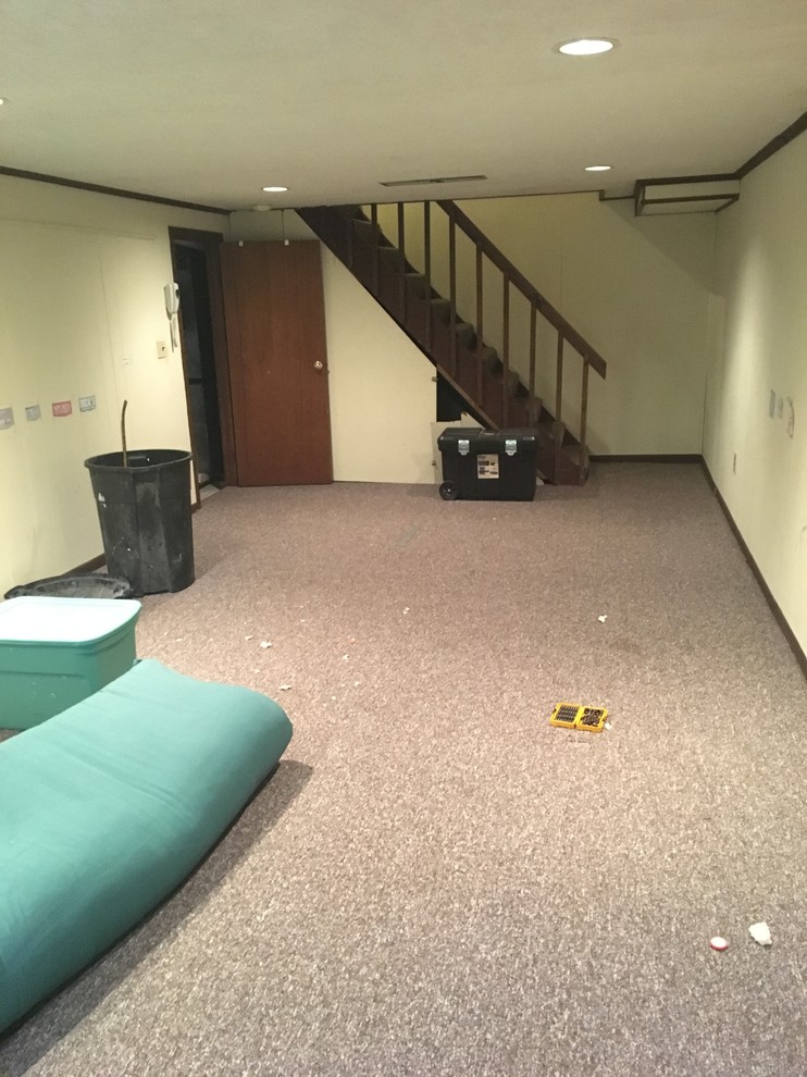Transitional basement renovation