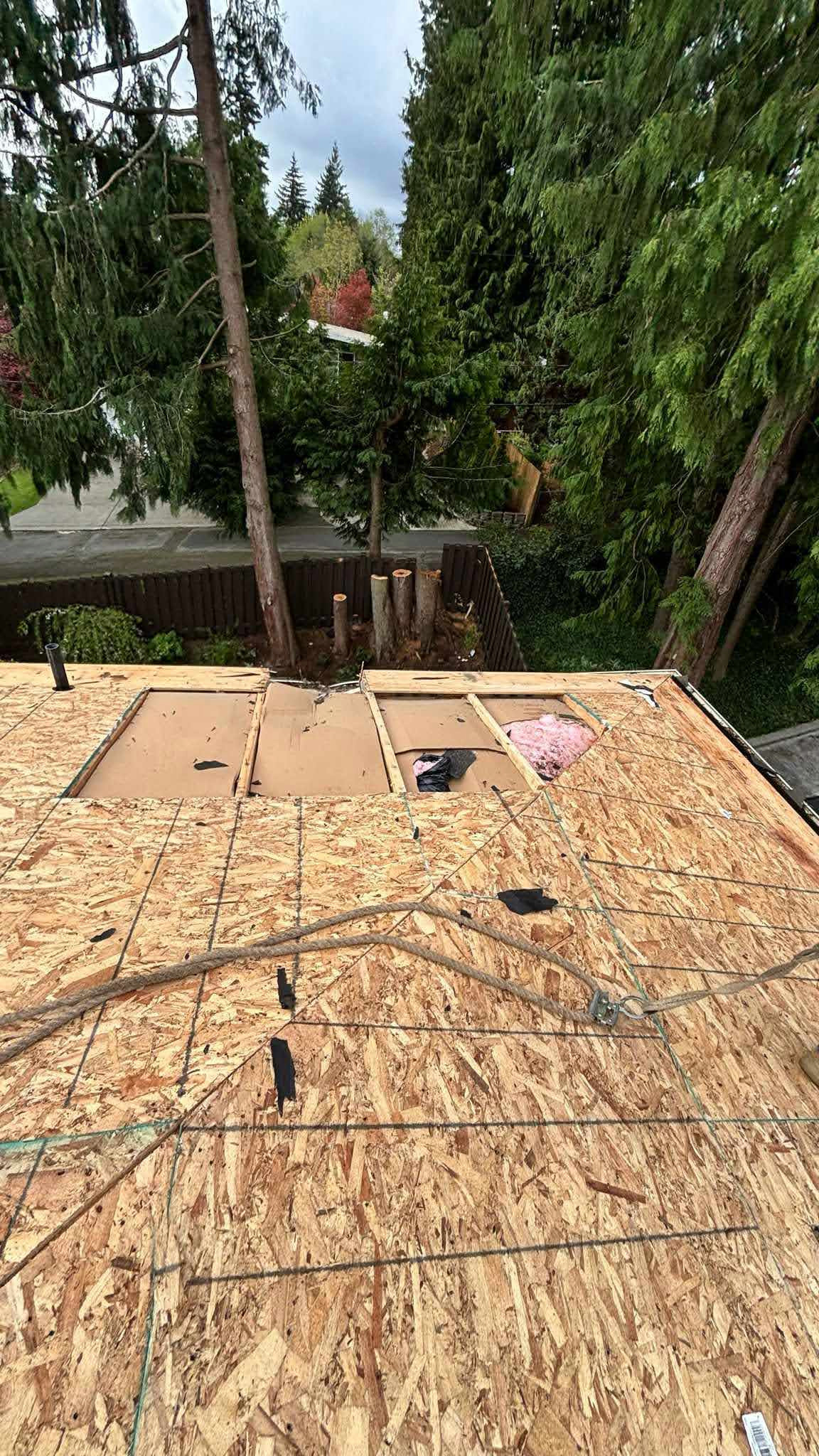 Roof Replacement