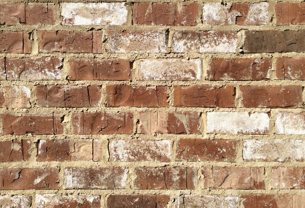 Cypress Point Brick Birmingham by Acme Brick Birmingham Houzz
