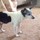 teresa_stokes8