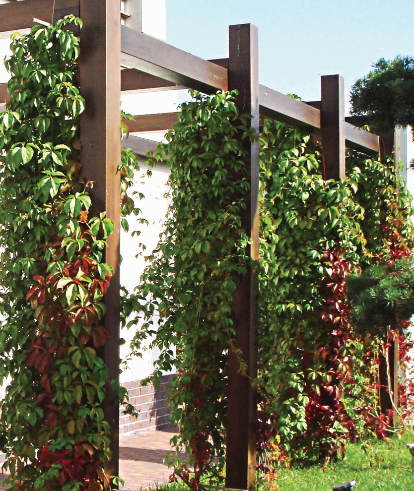 Сад "Динамика движения"