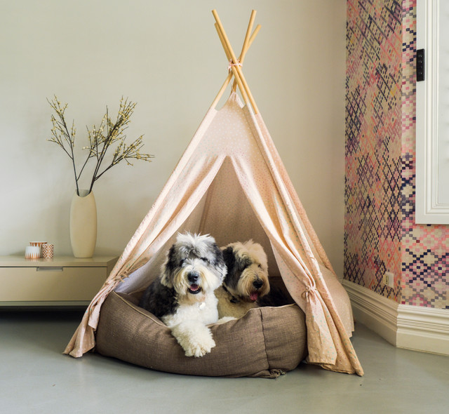 Is it Okay to Leave my Dog at Home Alone All Day?