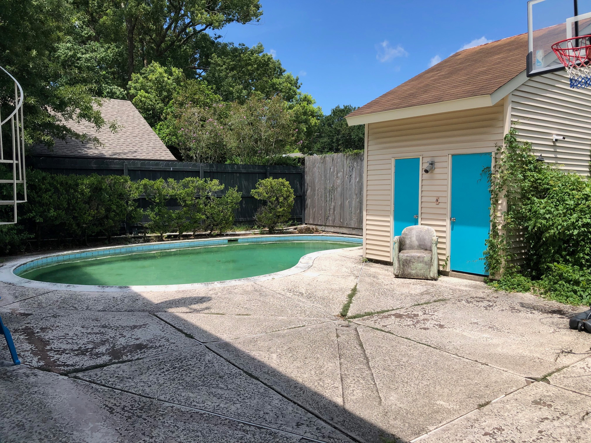 Saturated Backyard Renovation