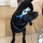 sandra_frewin100