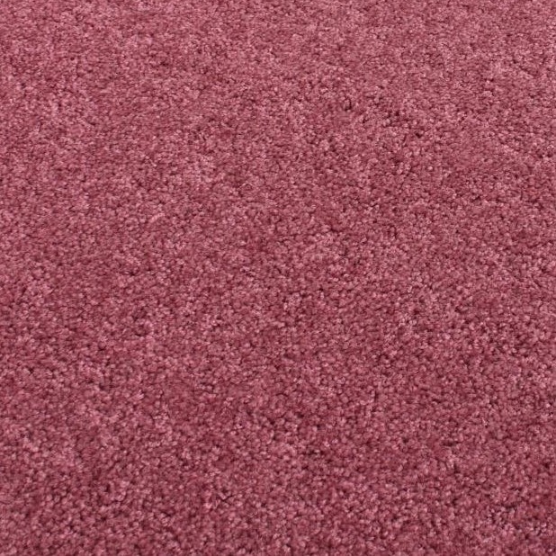 Shaw, Om Ii Dusty Pink Rose Carpet Area Rugs 30 oz Cut Pile, 1 Sample