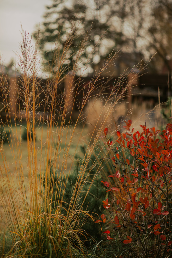 Осенний сад