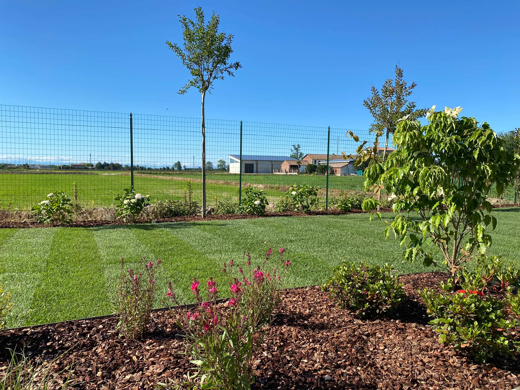 Realizzazione Giardino per villa moderna