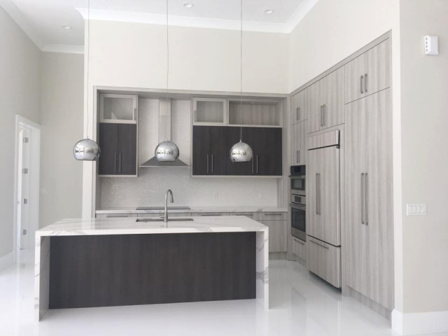 Kitchen remodeling transitional-kitchen