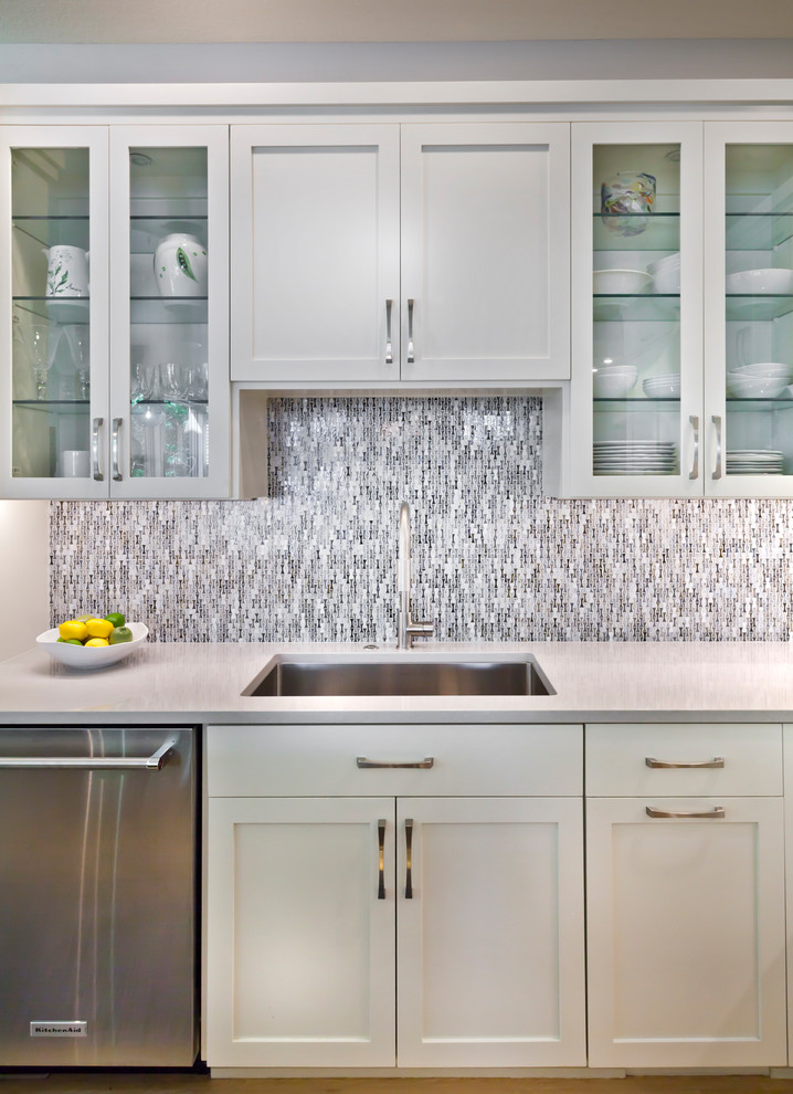 Kitchen - transitional kitchen idea in Minneapolis