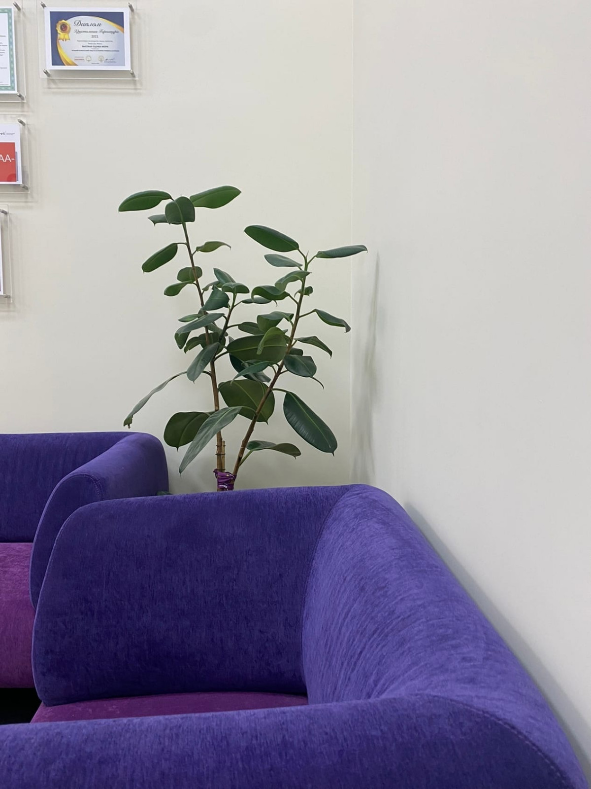 Офис Ренессанс-страхование. Французские краски Little Shop of Colors.