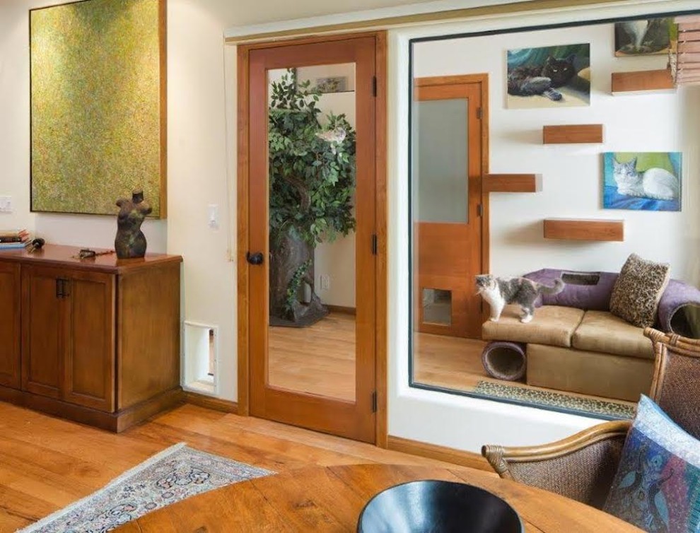 Living room - mid-sized eclectic enclosed light wood floor living room idea in San Diego with white walls