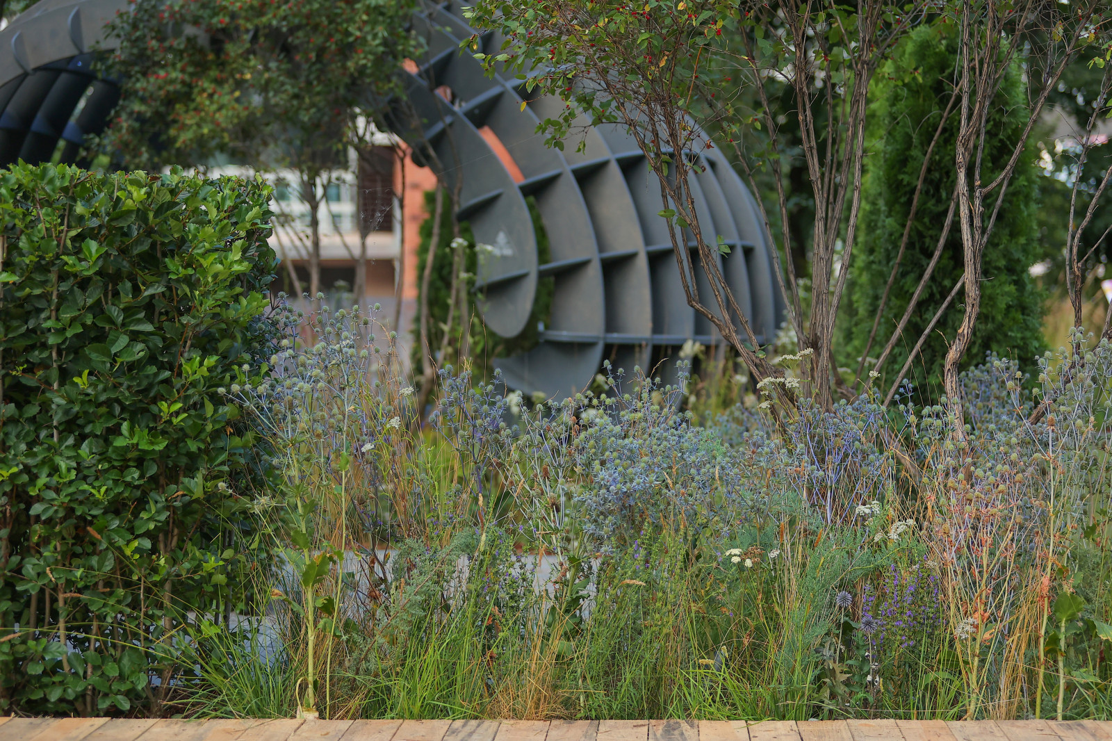 Сад "ГИПНОС" - ГРАН-ПРИ фестиваля "Сады и Люди"-2022