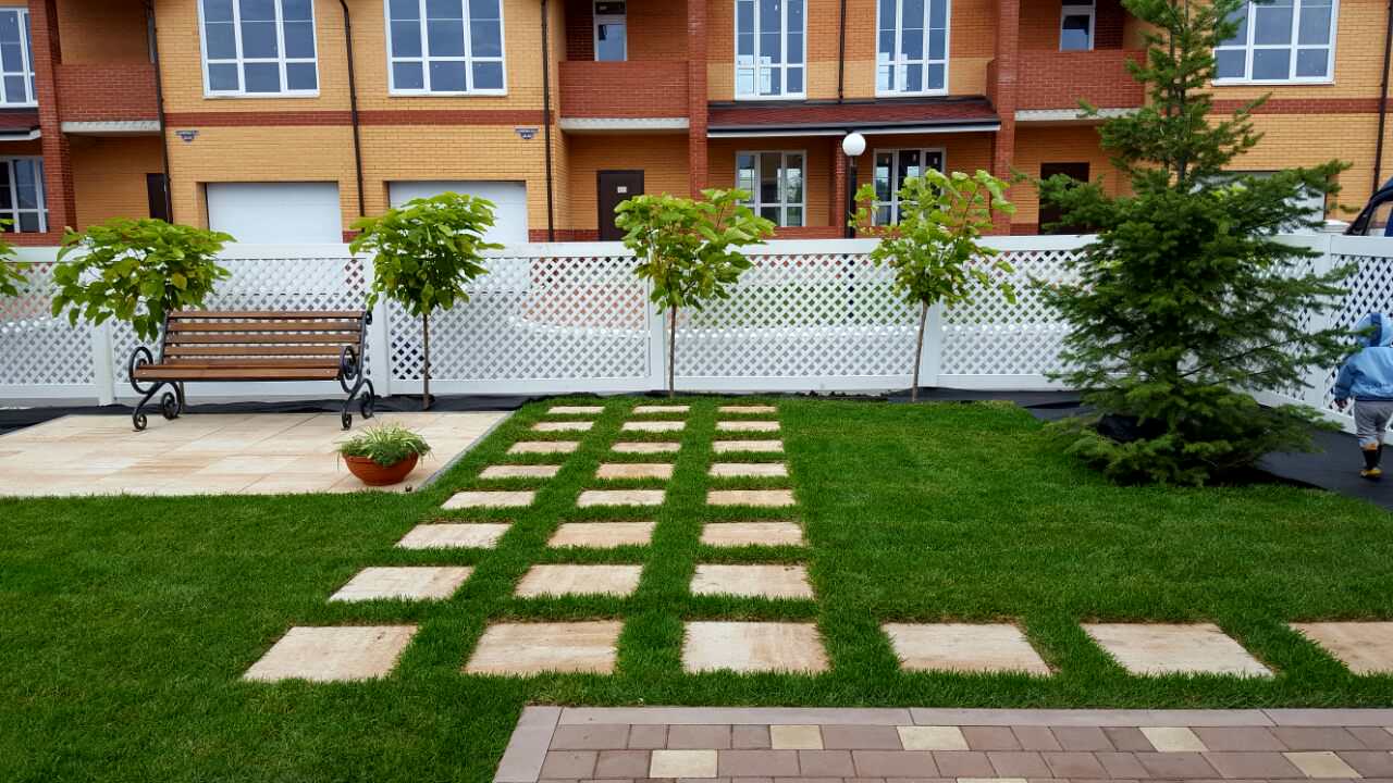 Маленький зеленый участок в процессе роста